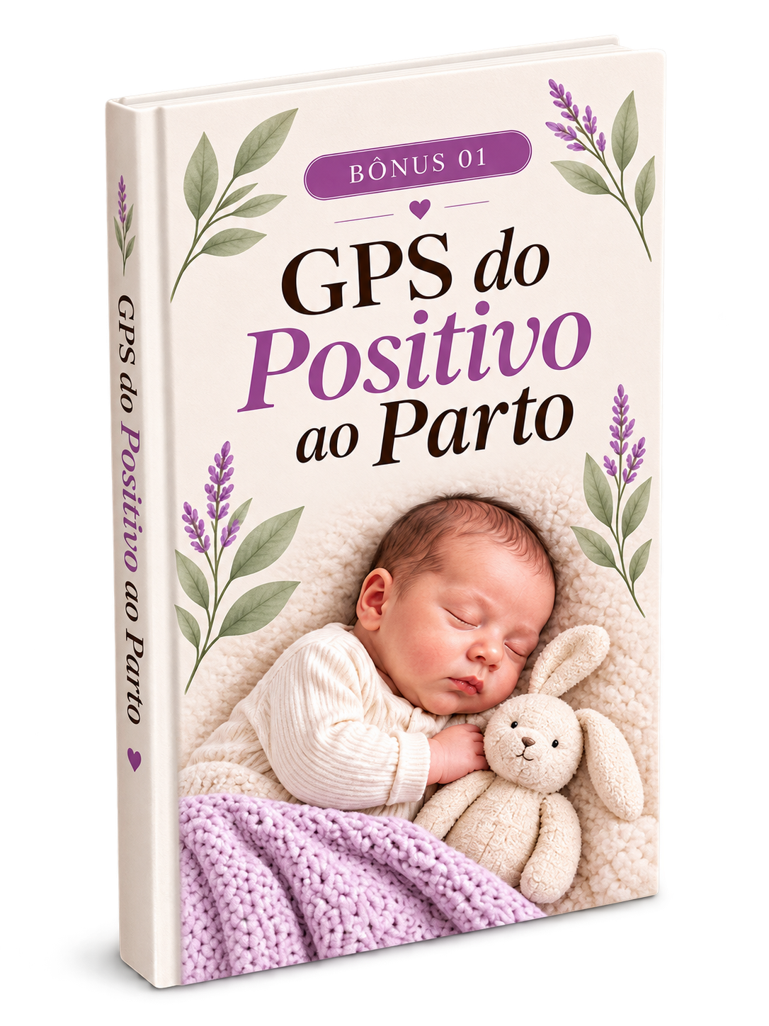 Bônus 1 · Guia GPS do Positivo ao Parto